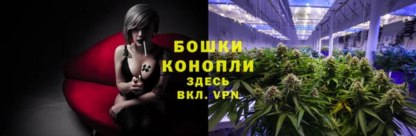 дурь Елизово