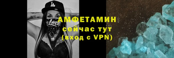 ПСИЛОЦИБИНОВЫЕ ГРИБЫ Ельня