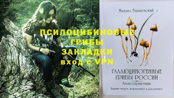 ПСИЛОЦИБИНОВЫЕ ГРИБЫ Ельня