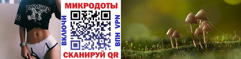 Галлюциногенные грибы MAGIC MUSHROOMS Казань