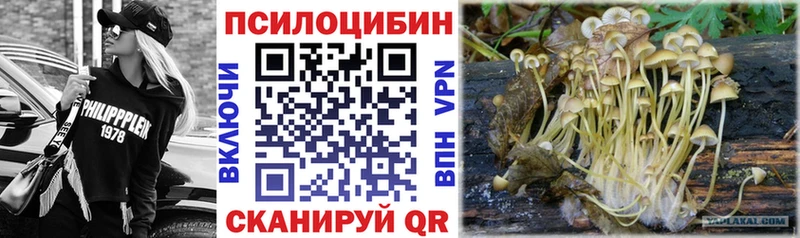 Галлюциногенные грибы прущие грибы  Казань 